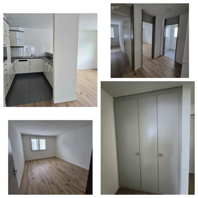 Frisch renovierte 3.5-Zimmerwohnung in Adligenswil LU (2)