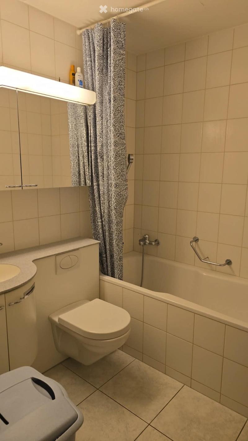 Grosses WG Zimmer (2)