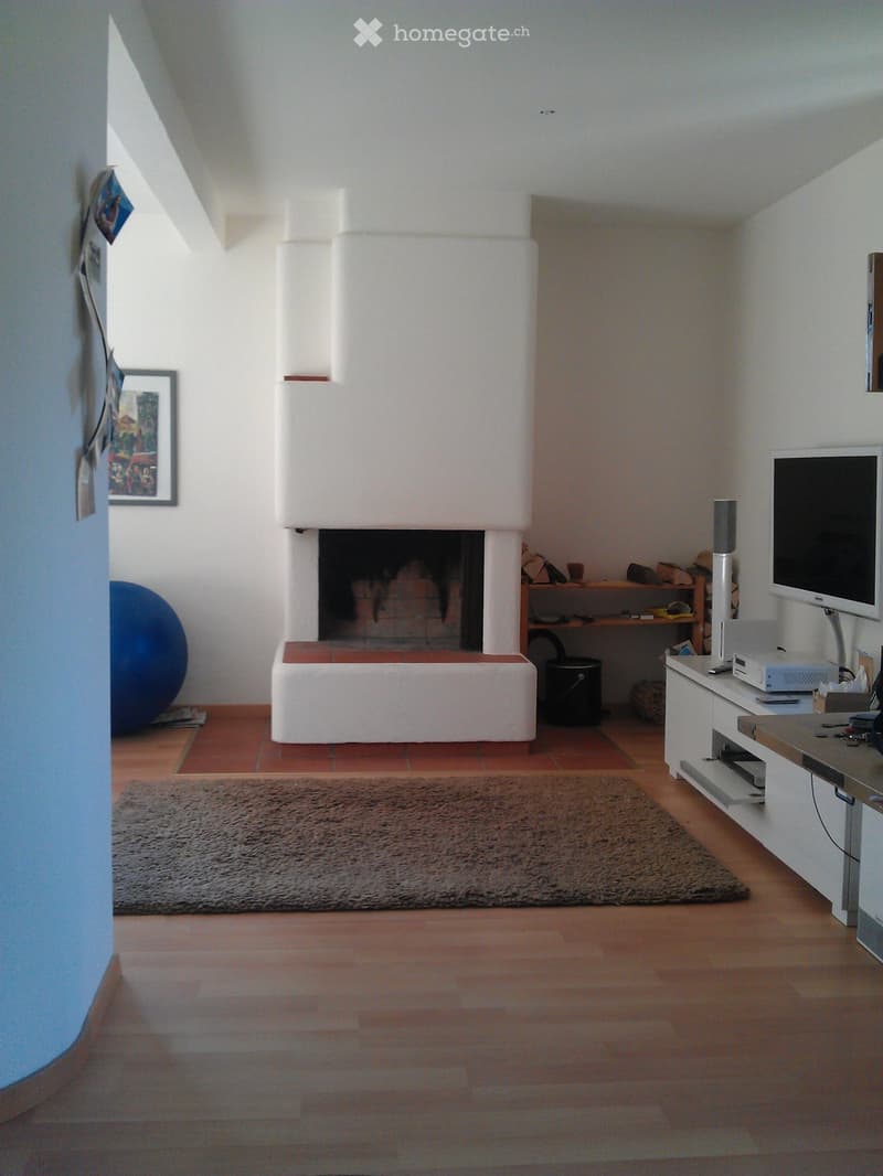 Lichtdurchflutete, grosszügige 3.5-Zimmer-Whg in Wollishofen (3)