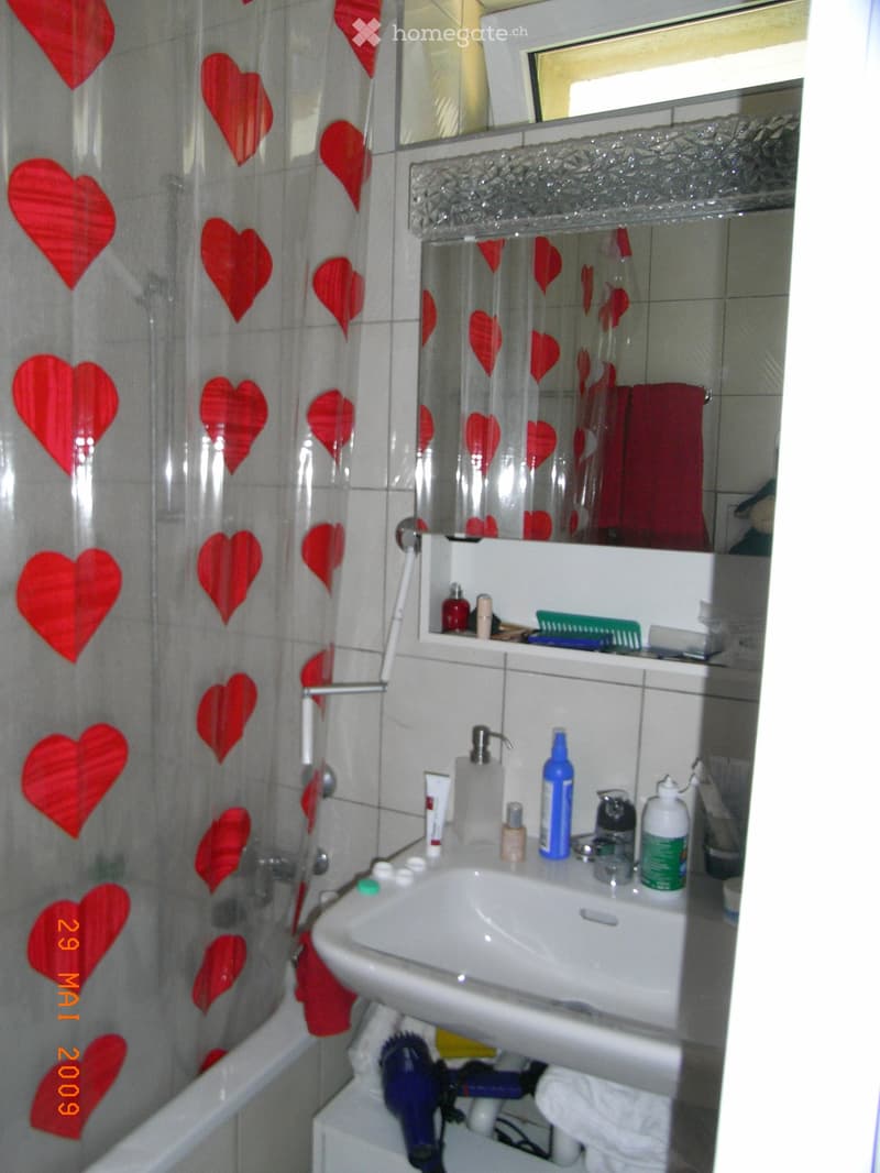 Lichtdurchflutete, grosszügige 3.5-Zimmer-Whg in Wollishofen (5)