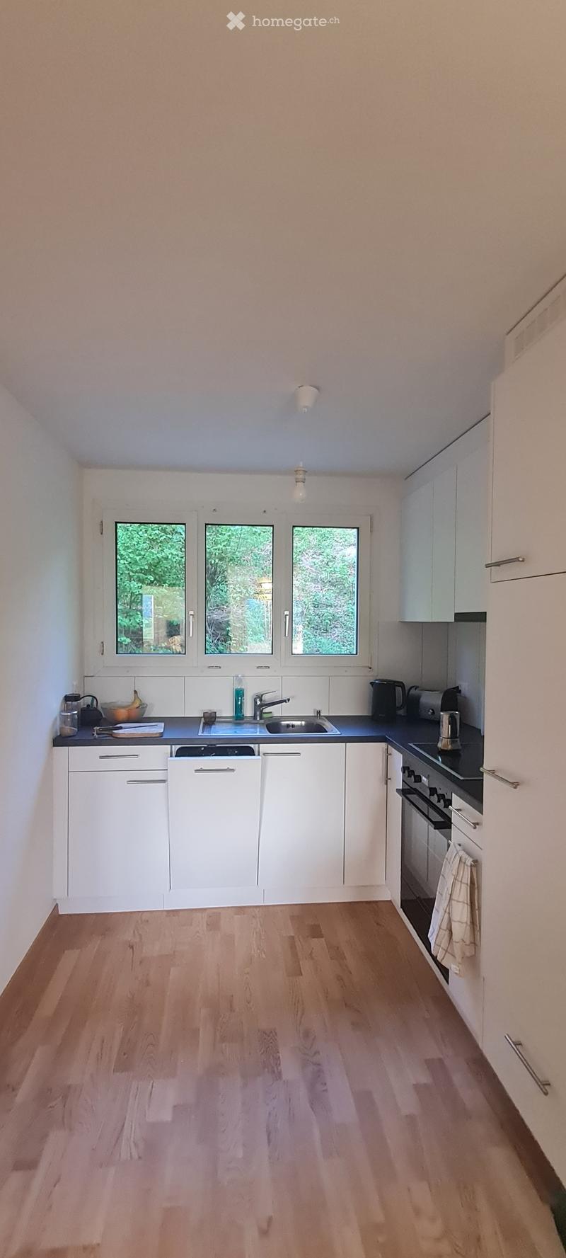 Atelier oder Praxisraum! (3)