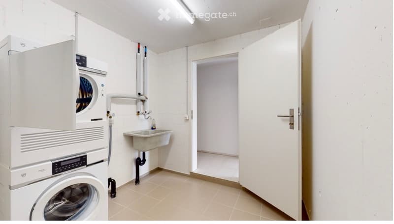 Moderne 1.5 Zimmer Studio Wohnung mit Vorplatz (3)