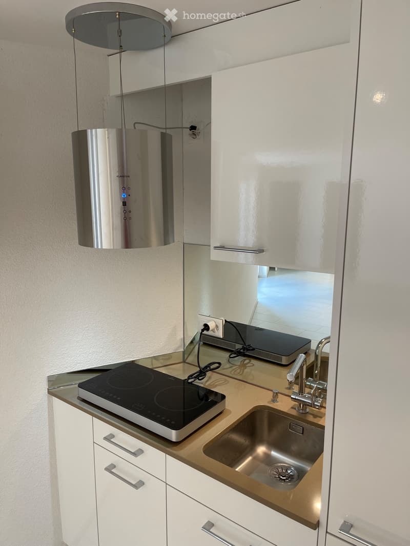 Moderne 1.5 Zimmer Studio Wohnung mit Vorplatz (5)