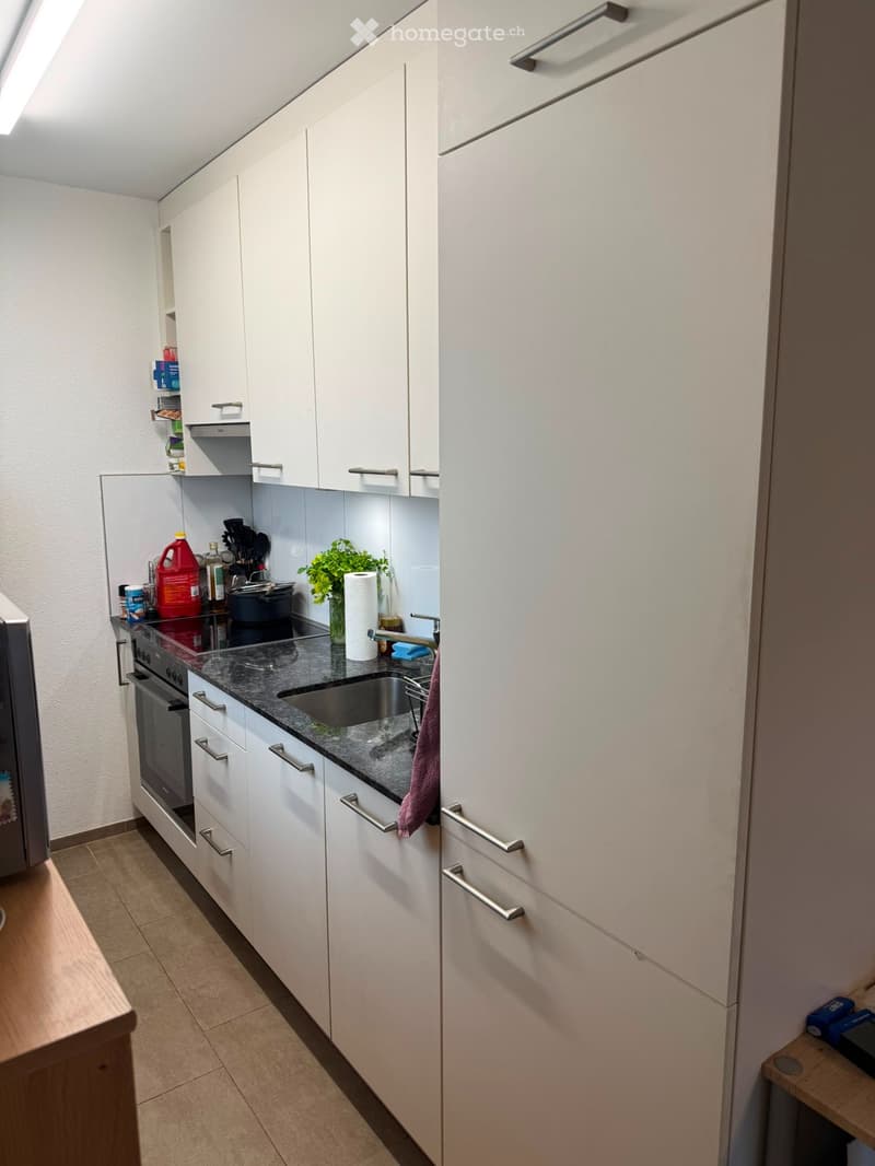 2,5 Zimmerwohnung 60m2 möbliert. Ab sofort 1.7 (12)