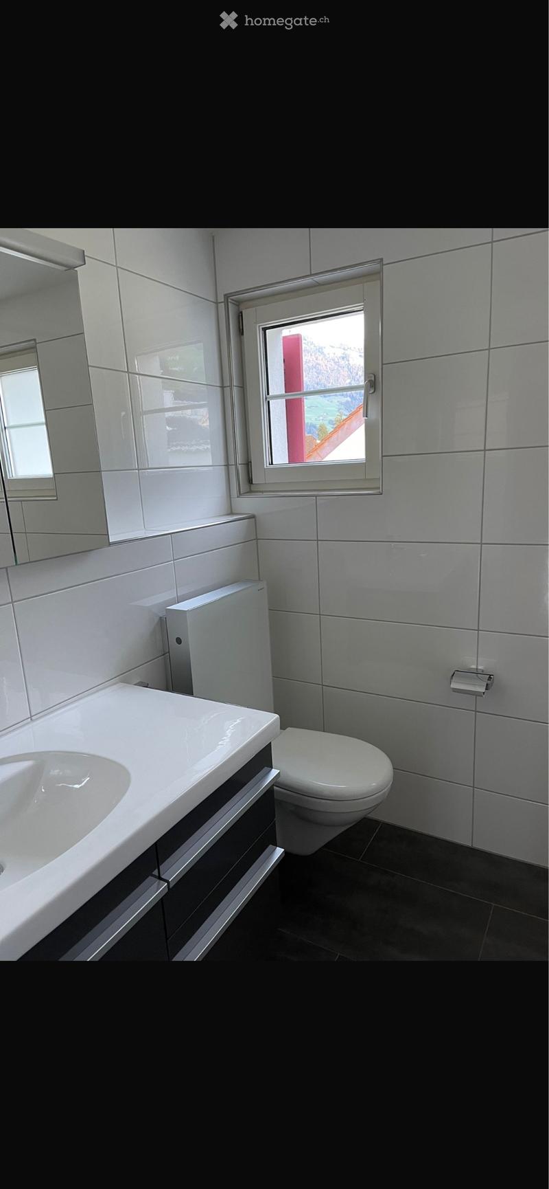 3-Zimmer-Dachwohnung mit Terrasse in Stans (2)