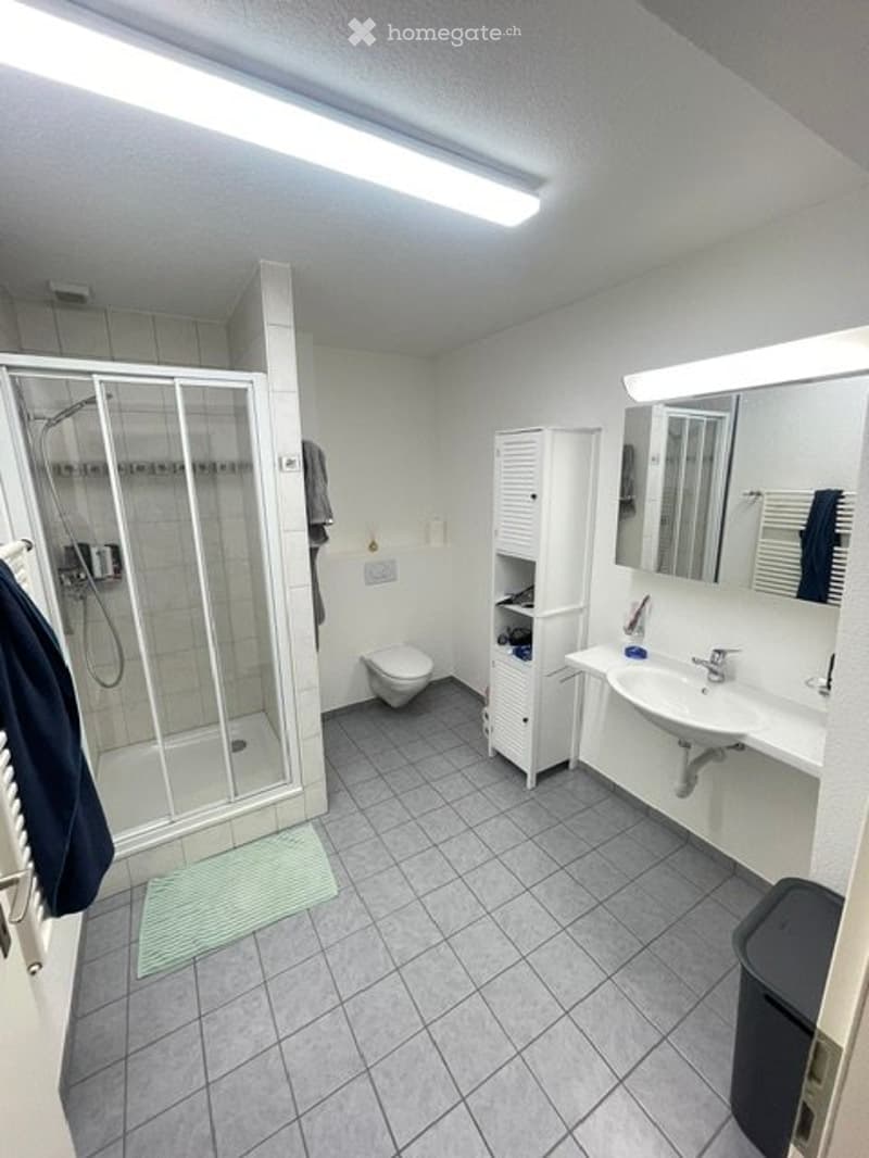 1.5 Zimmer Wohnung in Meilen per sofort zu vermieten (2)