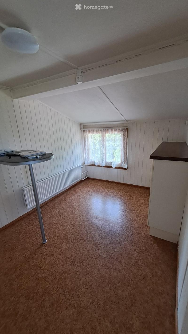 3,5 Zimmerwohnung (3)