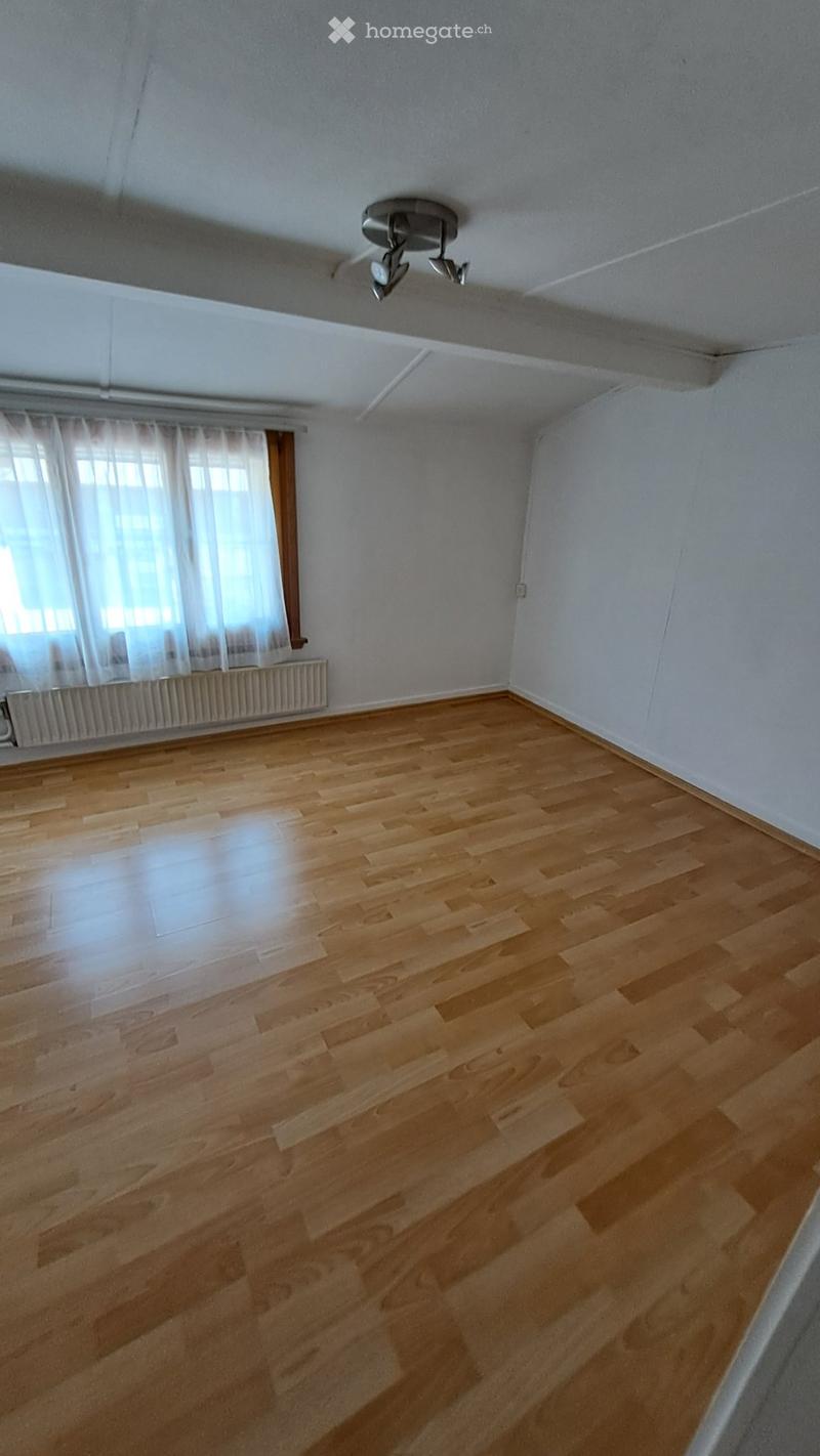 3,5 Zimmerwohnung (4)