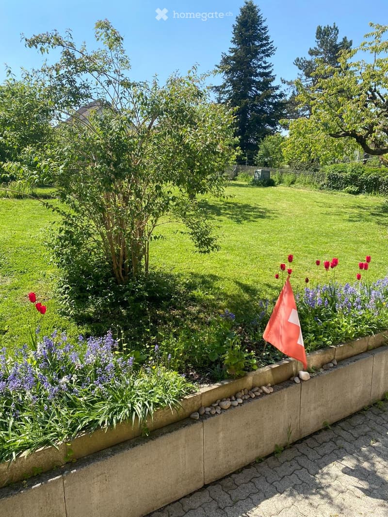 7-Zimmer-Einfamilienhaus mit viel Umschwung in Andelfingen (2)