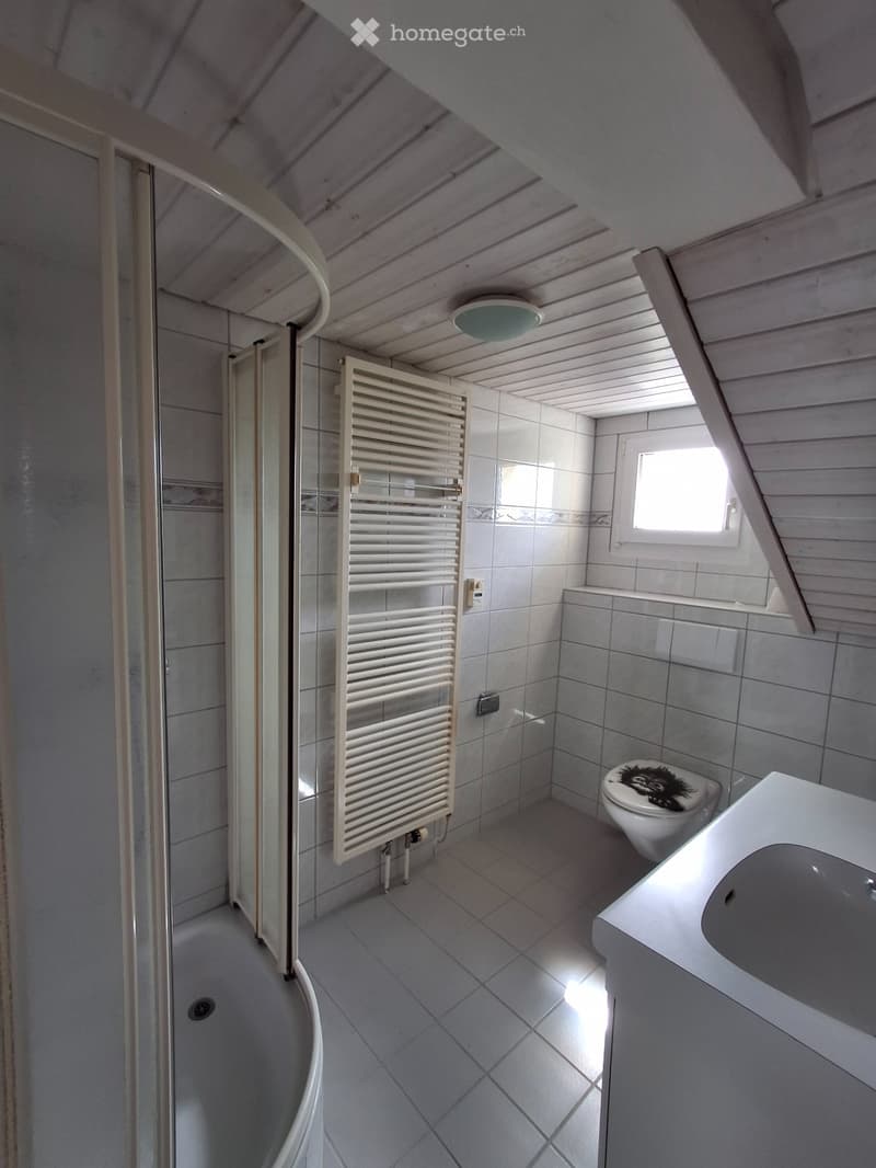 3 Zimmer Dachwohnung (4)