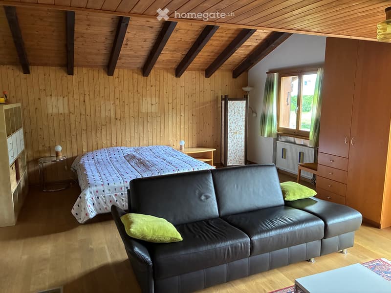 1.5 Zi. Wohnung 55m2 mit Autounterstand (4)