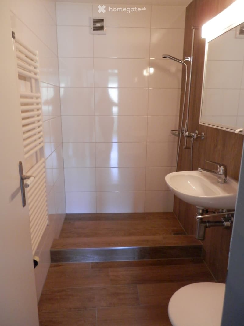 Frisch renovierte 4.5-Zi-Whg mit Balkon, Cheminée und Garage (4)