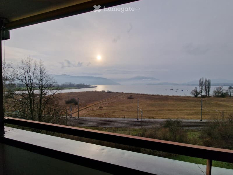 Wohnung Alpenblick 6330 Cham / ZG absolute Seesicht (4)