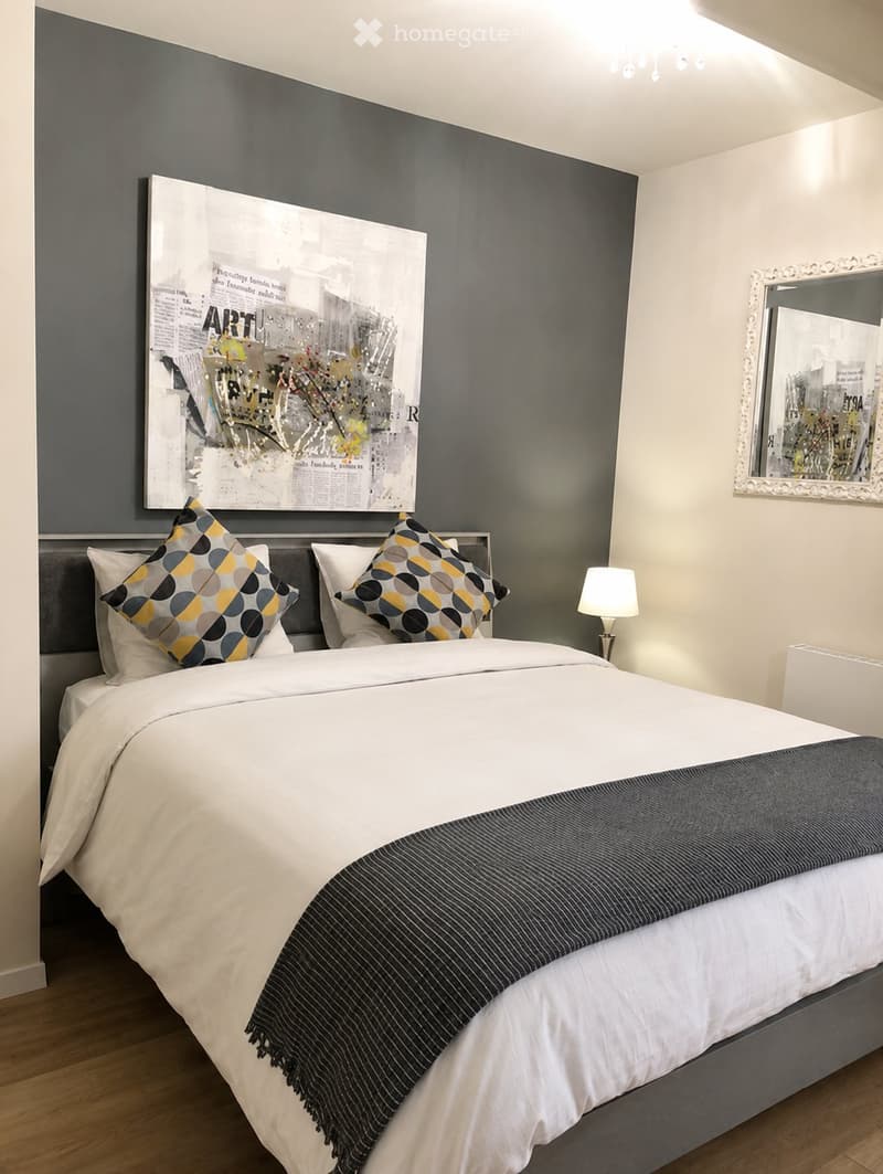 Furnished 2-room apartment for rent (2)