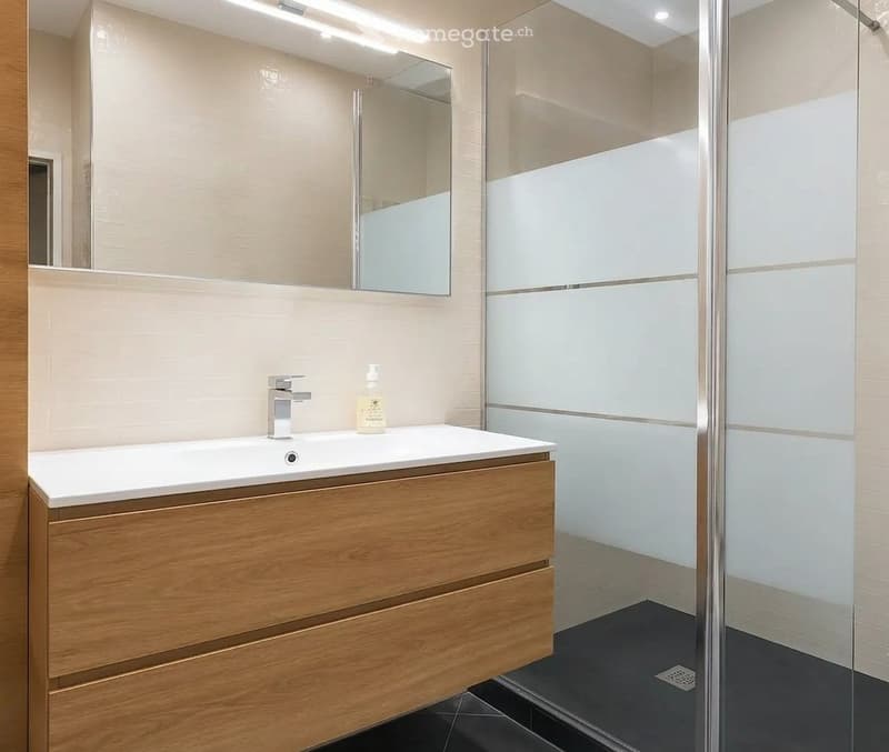 Furnished 2-room apartment for rent (5)