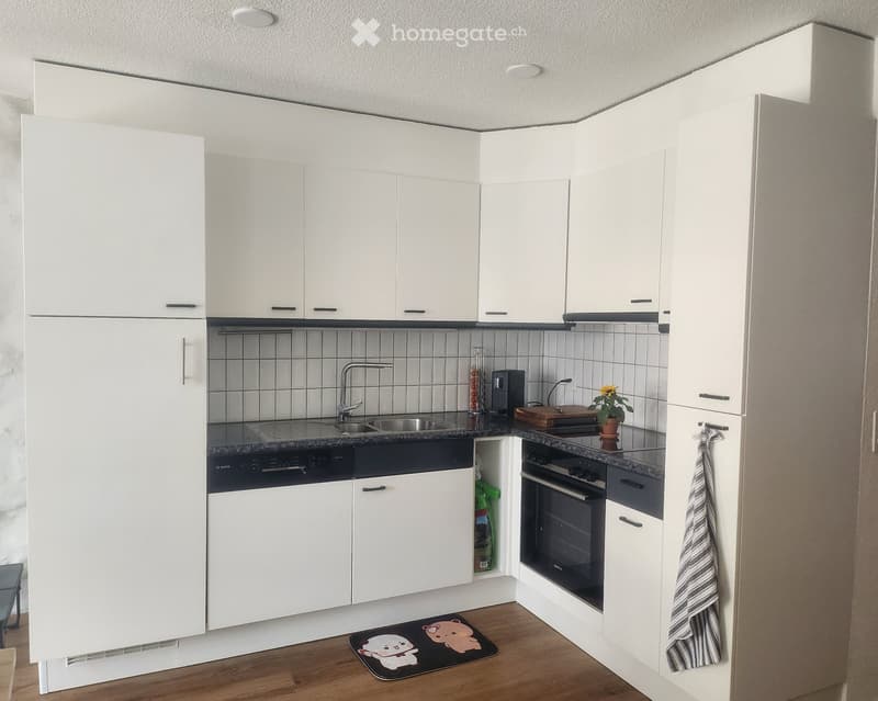 Grosszügige 3.5 Zimmer-Wohnung zentral gelegen (1)