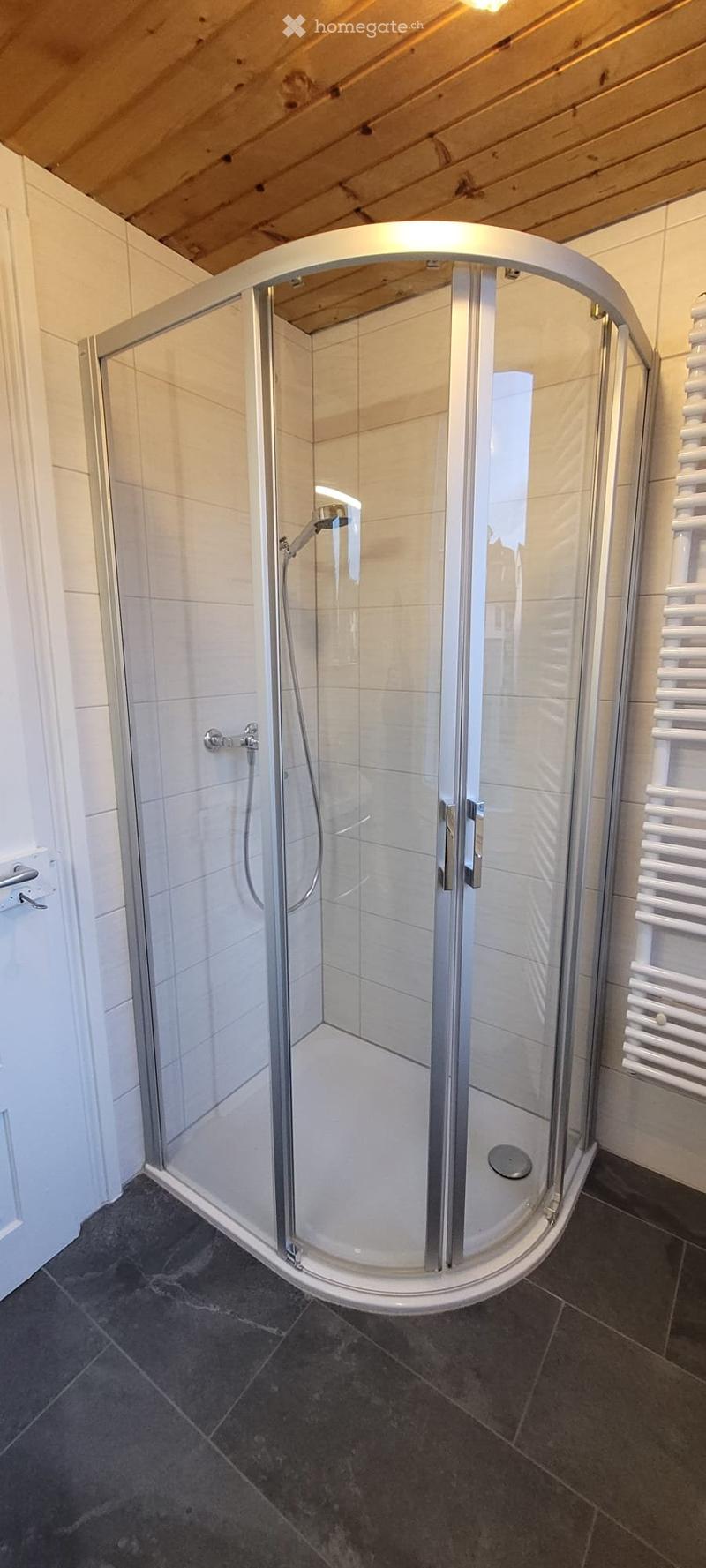 4.5 Zimmerwohnung mit grosser Terasse (2)