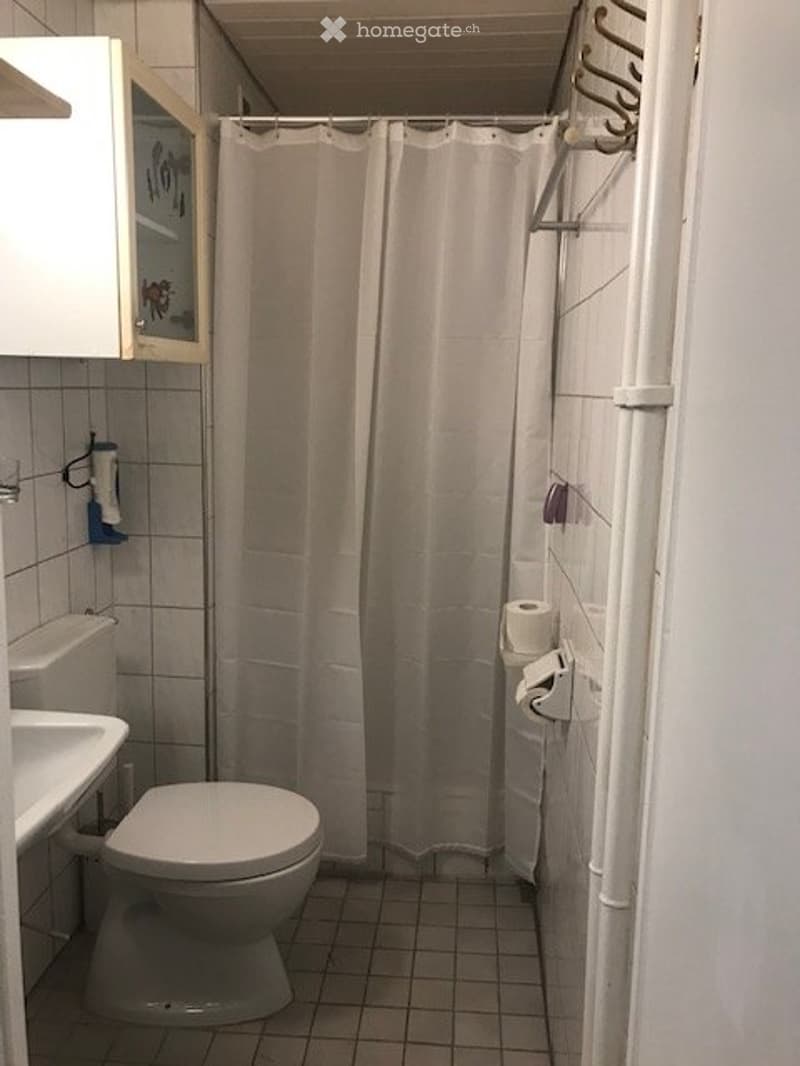 Zentral gelegenes WG Zimmer Basel Stadt (2)