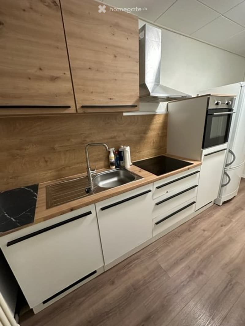 Zentral gelegenes WG Zimmer Basel Stadt (3)