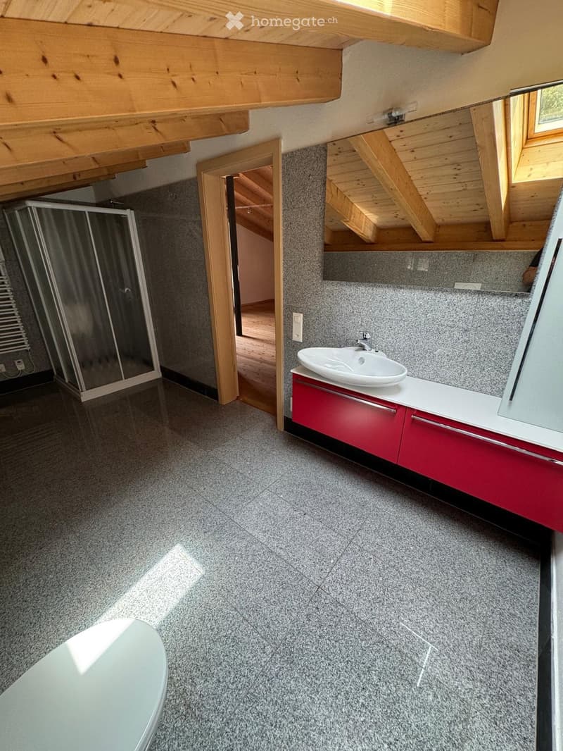 Splendido Duplex 3.5 Locali con terrazza e ampio giardino (4)