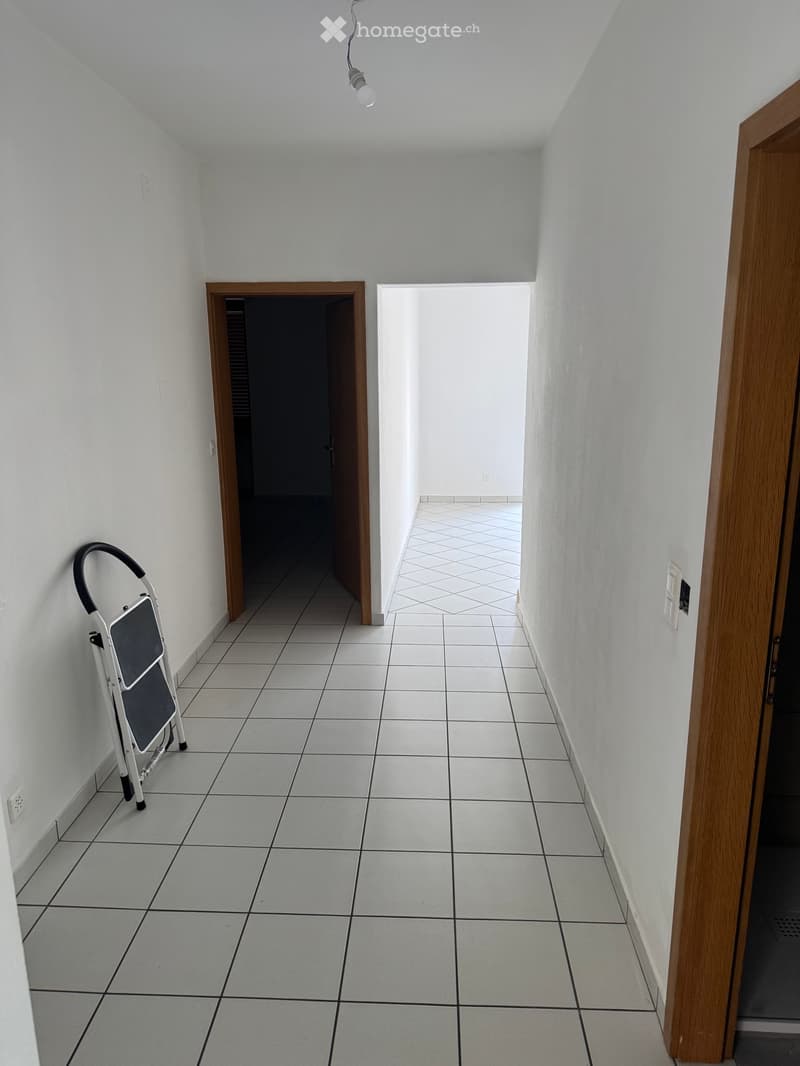 Spazioso appartamento di 4,5 locali con box auto (5)