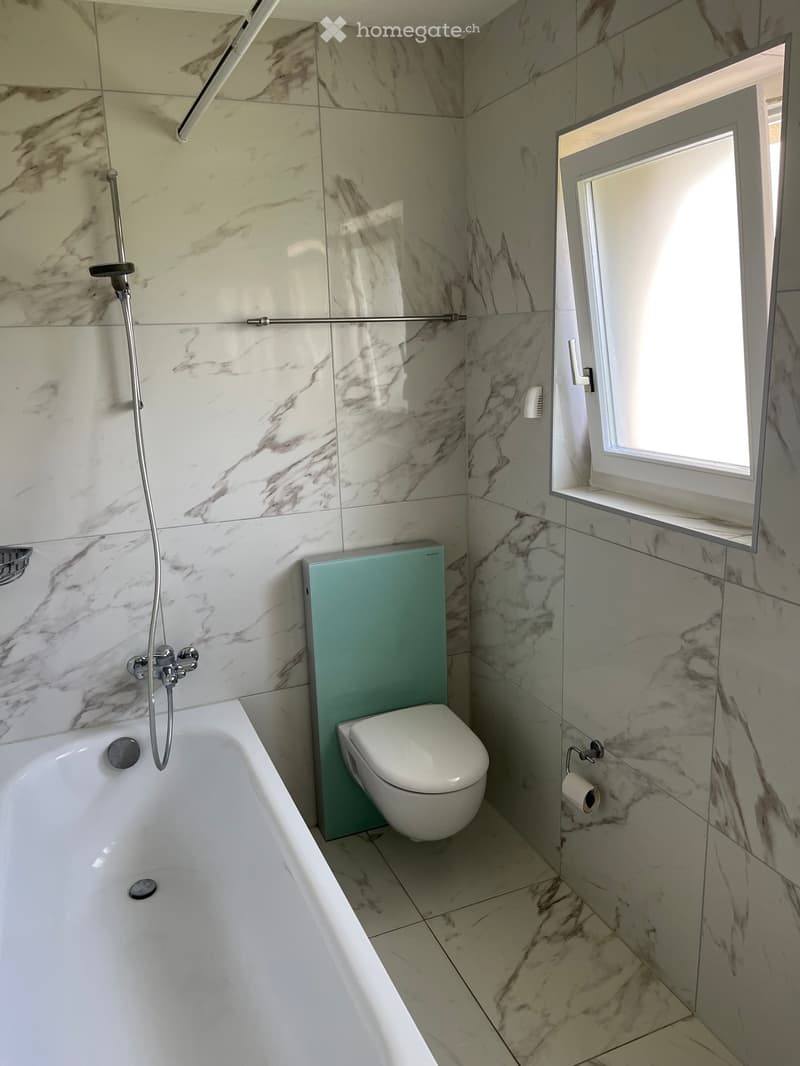 Zu vermieten 4.5 Zimmer Wohnung (5)