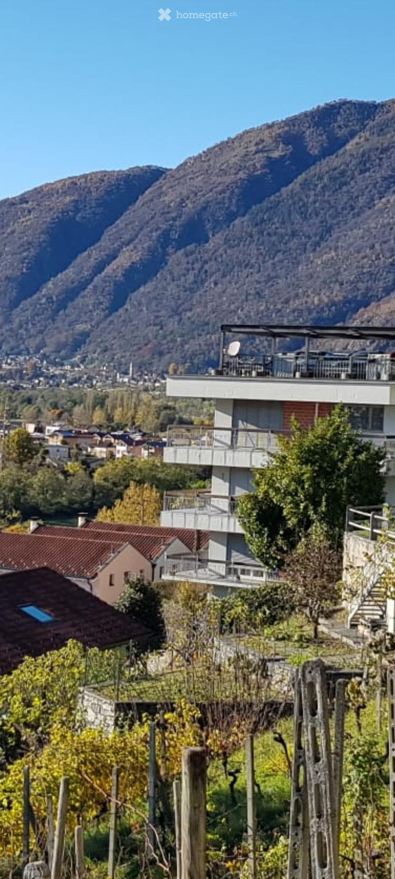 STABILE A REDDITO DI 3 APPART. ZONA RESIDENZIALE (1)