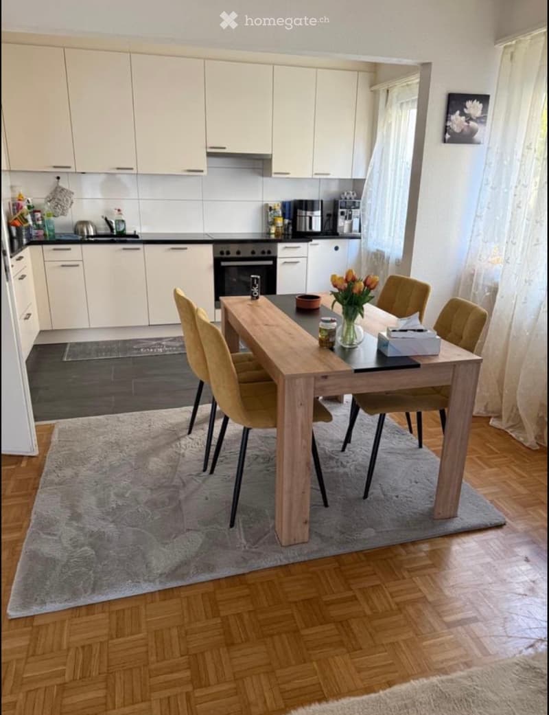 Schöne 3-Zimmer-Wohnung (1)