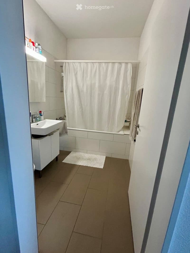 3.5-Zimmer-Wohnung mit grosser Terrasse (3)