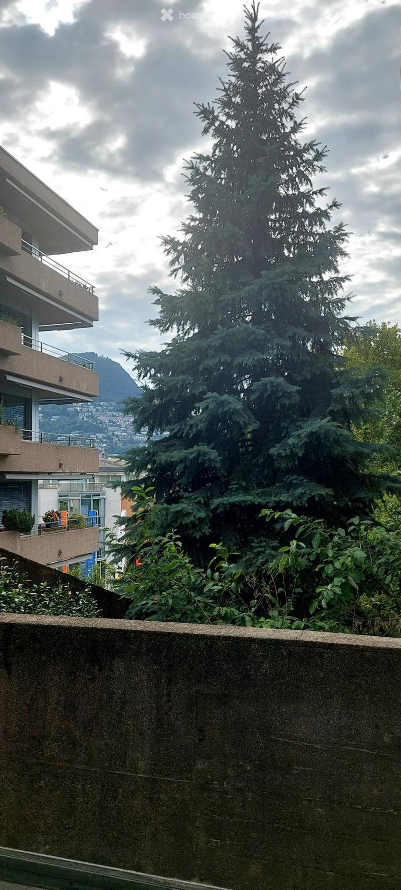 Privacy vicino all'Ospedale: appartamentino pronto all'uso (1)