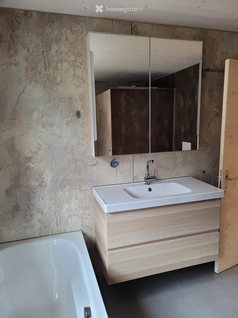 schöne Wohnung in Kandergrund (5)