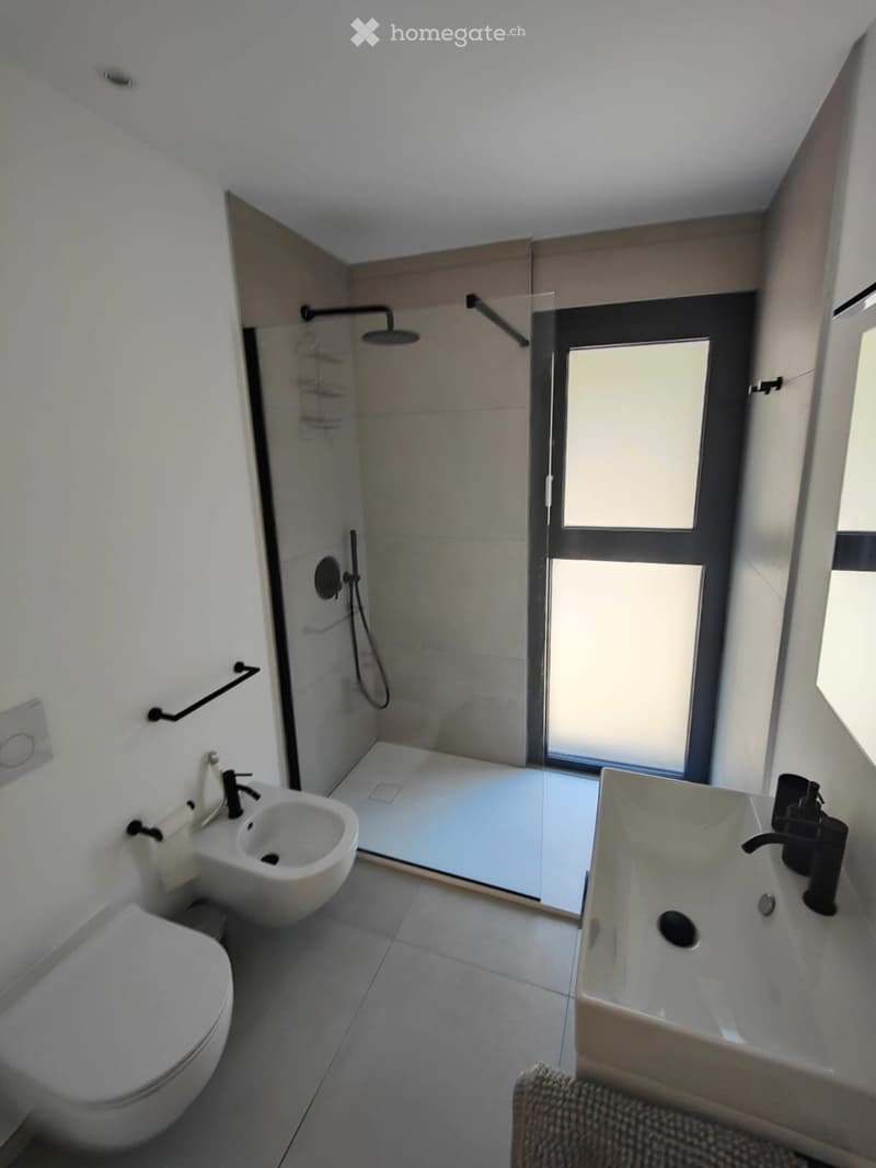 Accogliente appartamento ammobiliato di 3,5 con terrazzo (4)