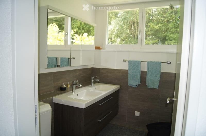 5 Zimmer Attikawohnung mit grosser Terasse (3)