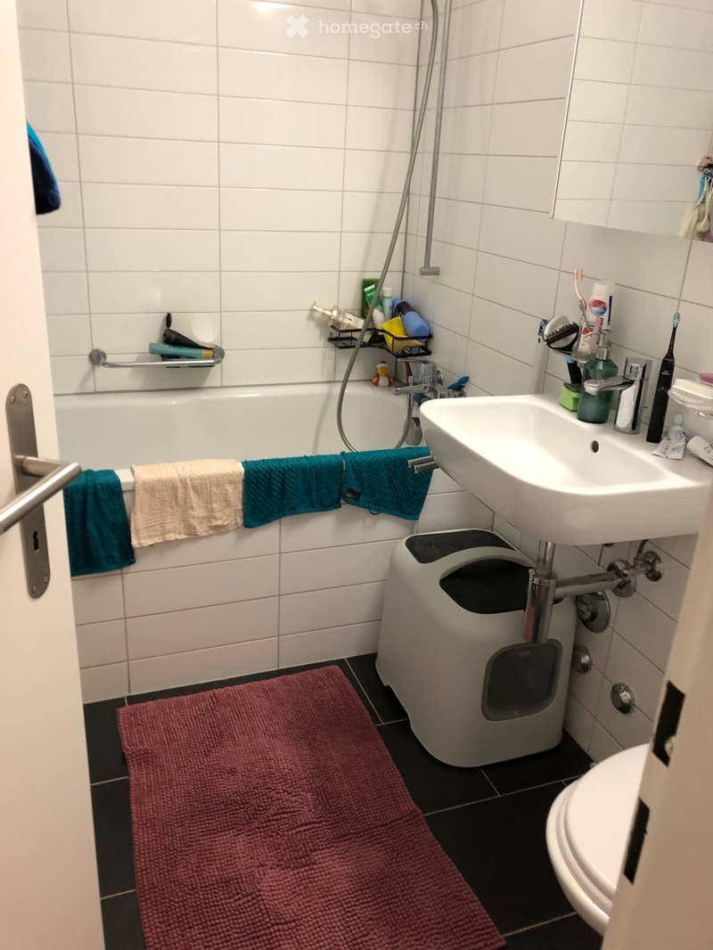 Nachmieter ab September für 3.5-Zimmer-Wohnung gesucht (3)