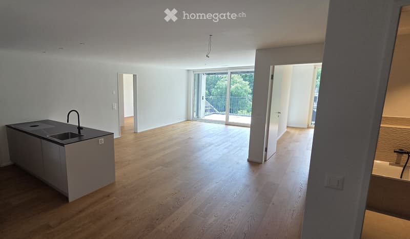 Erstvermietung komfortable 3.5-Zimmerwohnung (1)