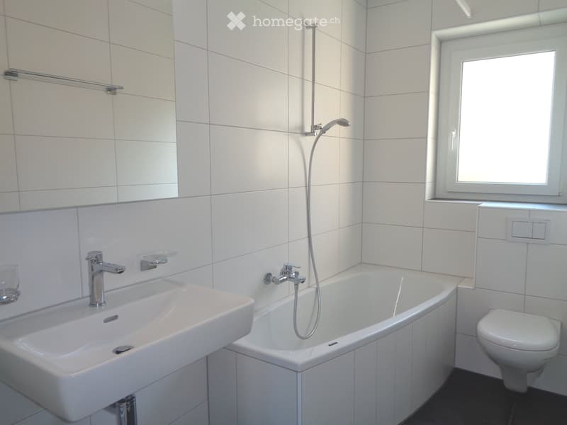 Nachmieter/in gesucht gemütliche Wohnung in Olten (5)