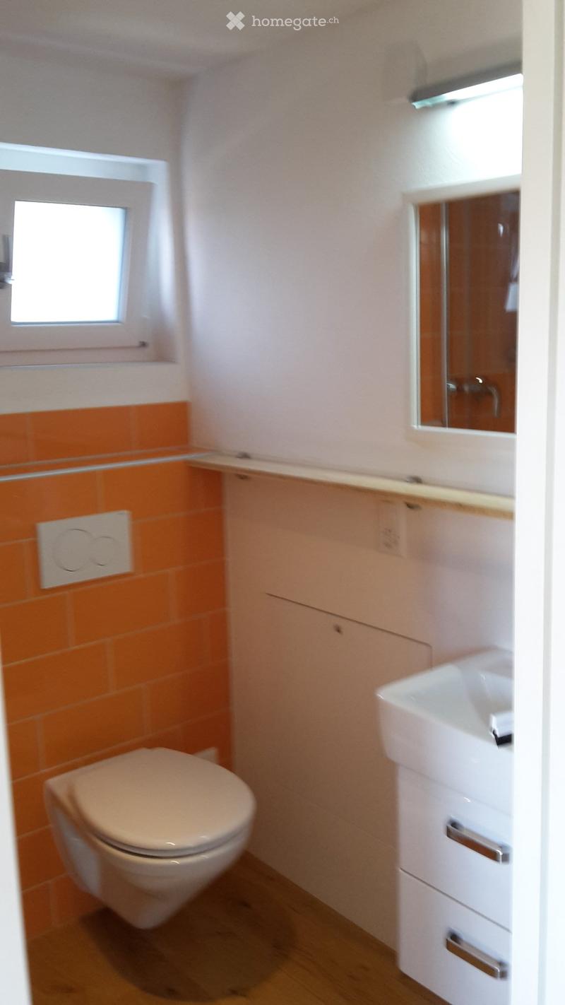 Einliegerwohnung in Luterbach (4)