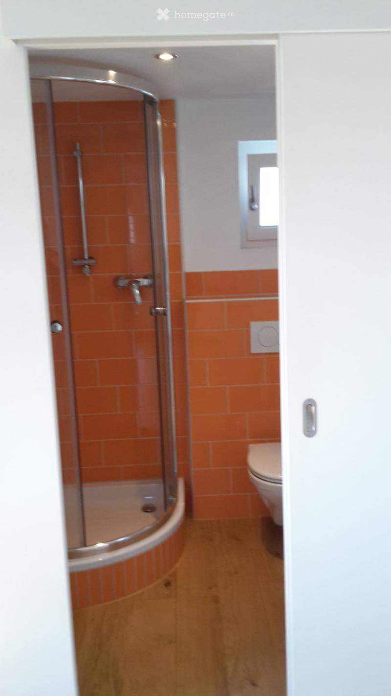 Einliegerwohnung in Luterbach (3)