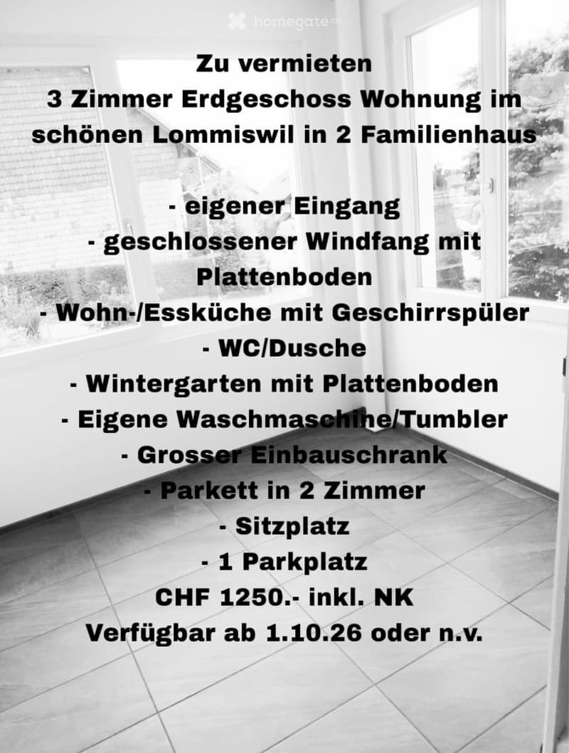 3 Zimmer Wohnung EG Lommiswil (1)