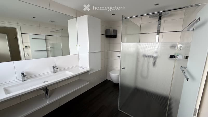 Exklusive Wohnung (3)