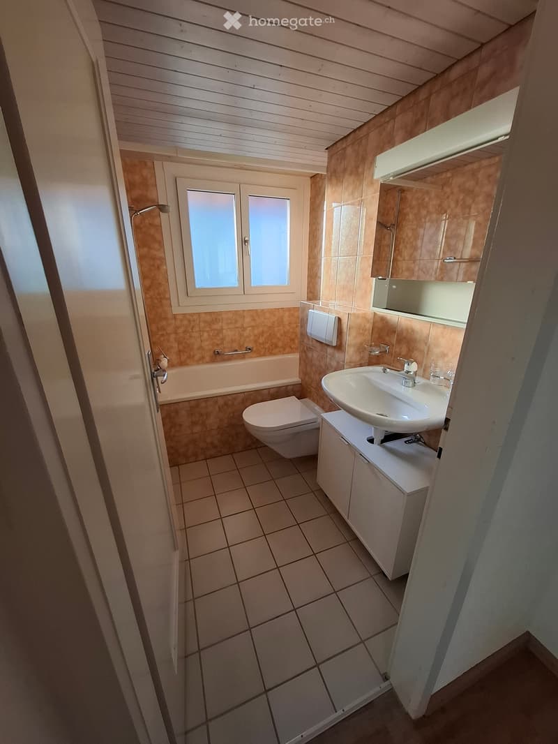 Gemütliche 3-Zimmerwohnung (5)