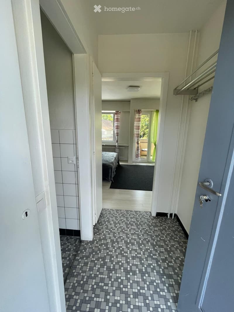 1.5-Zimmer-Apartments in Dietikon (2)