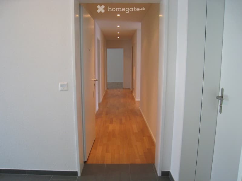 Zu Vermieten wunderschöne & gut besonnte 4.5 Zimmer Wohnung (3)
