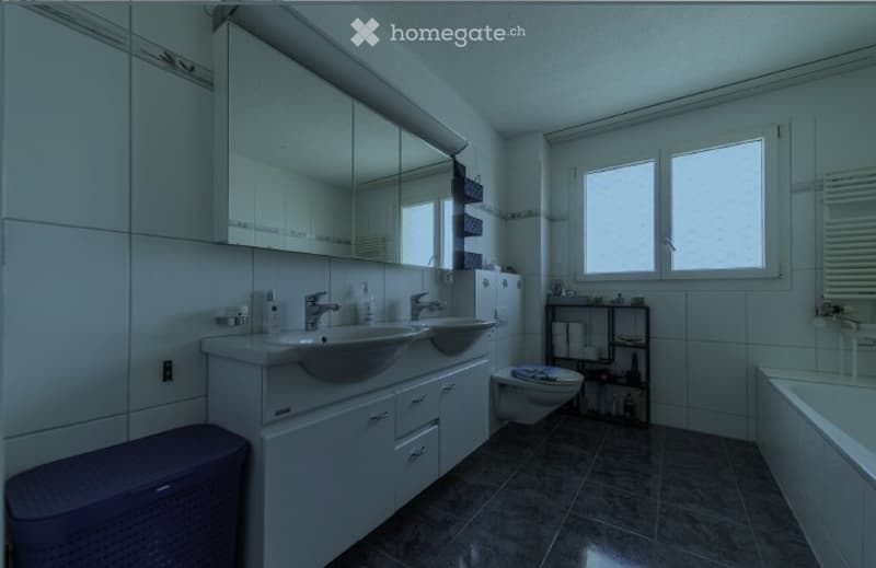 4.5 Zimmer Wohnung (3)