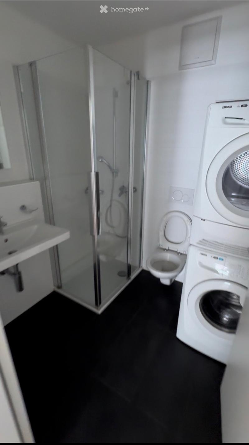Appartamento 3.5 a Locarno (5)