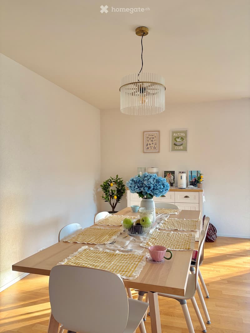 3.5 zimmer wohnung (4)