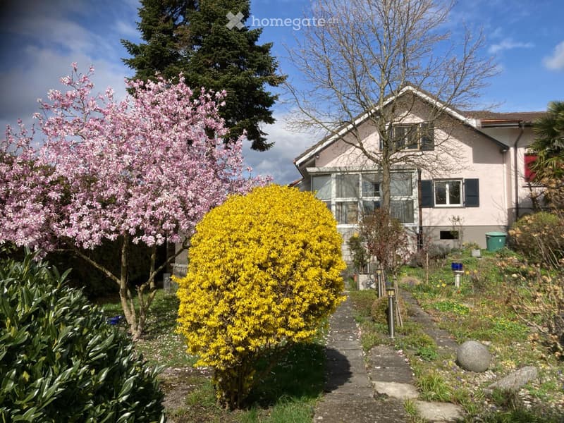 4.5 Zimmer Duplex-Haus mit Garten (3)