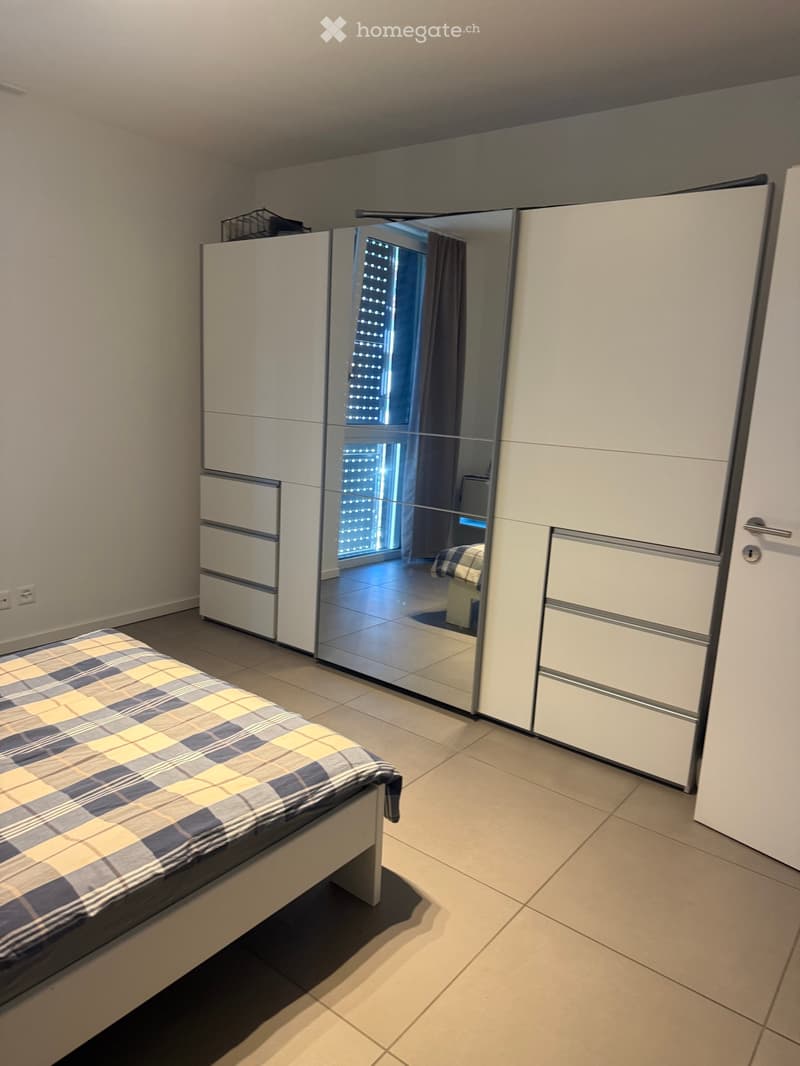 Affitto appartamento 2.5 (5)