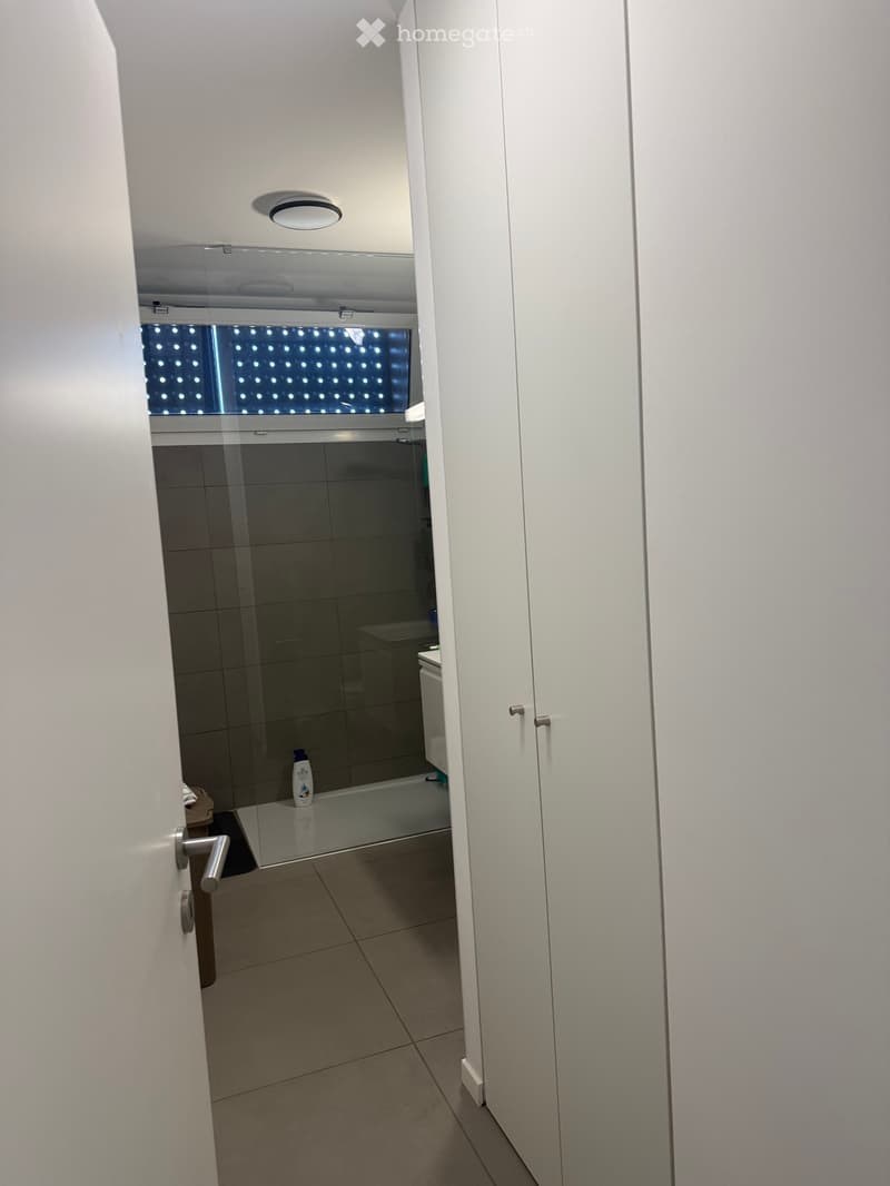 Affitto appartamento 2.5 (4)