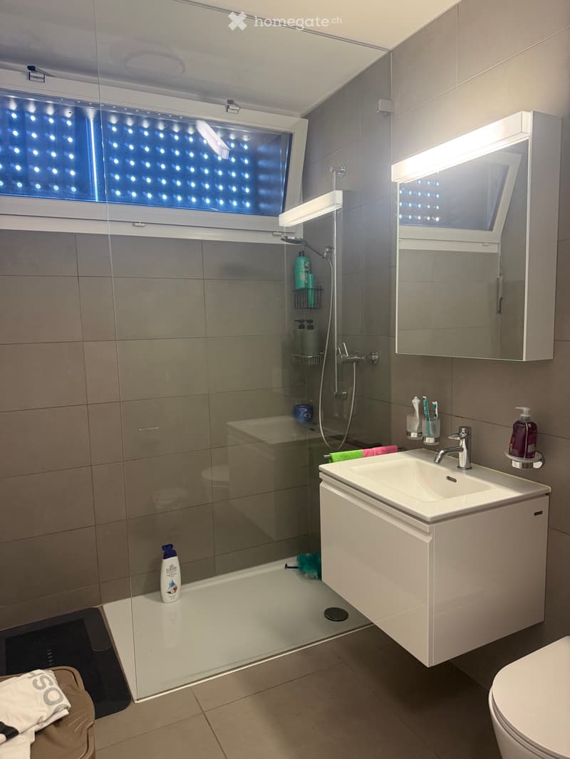 Affitto appartamento 2.5 (1)